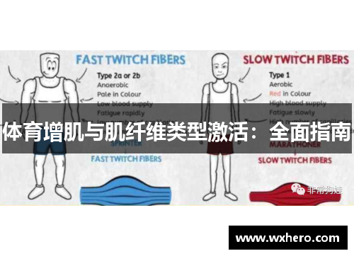 体育增肌与肌纤维类型激活：全面指南